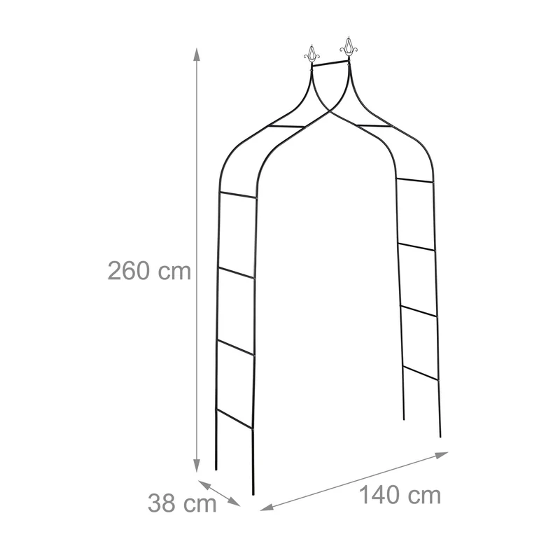 Portail à rosier pour plantes grimpantes jardin 200 x 100 x 15 cm en métal noir 13_0011834