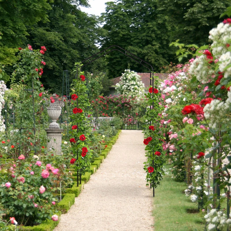 Arche à rosiers ornementée vintage jardin support pour plantes grimpantes 200 x 100 x 50 cm en métal noir 13_0012331