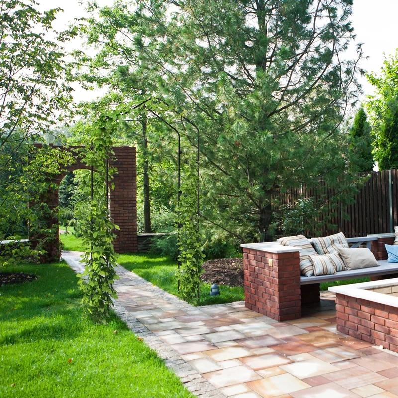 Arche à rosiers ornementée vintage jardin support pour plantes grimpantes 200 x 100 x 50 cm en métal noir 13_0012331