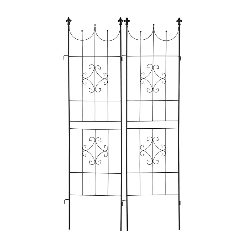 Lot de 2 treillis décoratifs pour plantes grimpantes jardin 120 x 40 x 3 cm en métal noir 13_0012046