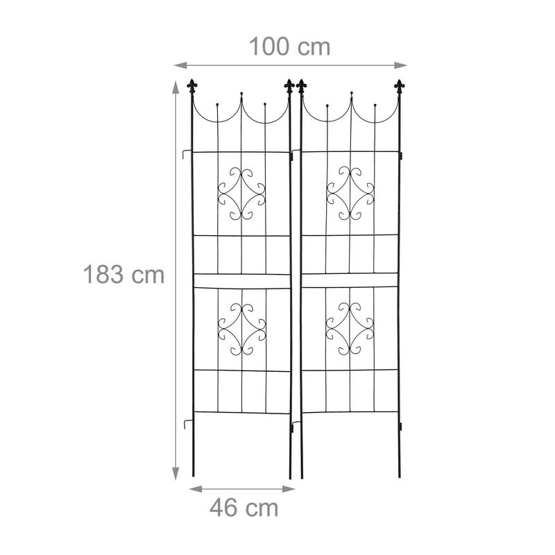 Lot de 2 treillis décoratifs pour plantes grimpantes jardin 120 x 40 x 3 cm en métal noir 13_0012046