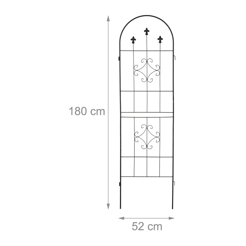 Lot de 2 treillis décoratifs pour plantes grimpantes 150 x 30 x 180 cm en métal noir 13_0012036