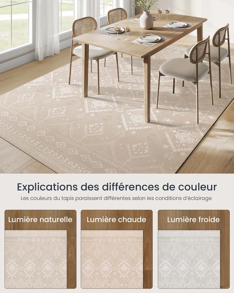 Tapis décoratif tapis de chambre 160 x 230 cm tapis de salon tapis antidérapant pour salon lavable en machine style bohème beige sable 12_0006096