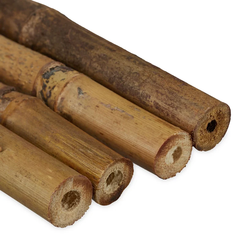 Lot de 40 tuteurs en bambou naturel pour plantes grimpantes 105 cm déco ambiance asiatique en bambou naturel 13_0011887