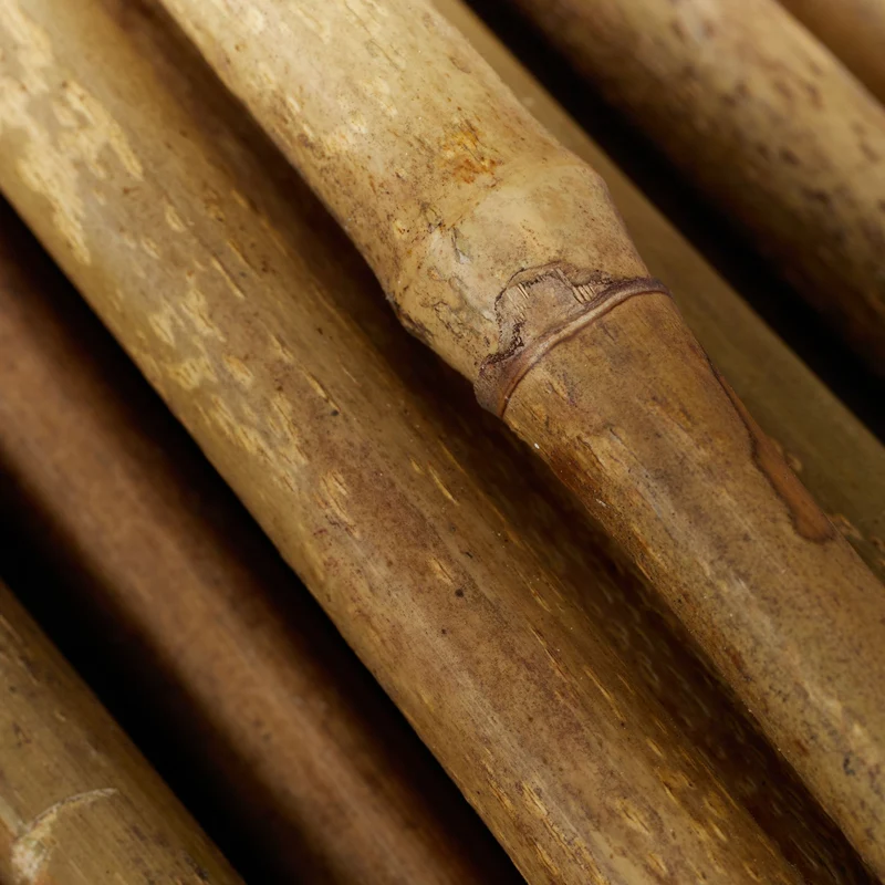 Lot de 40 tuteurs en bambou naturel pour plantes grimpantes 105 cm déco ambiance asiatique en bambou naturel 13_0011887