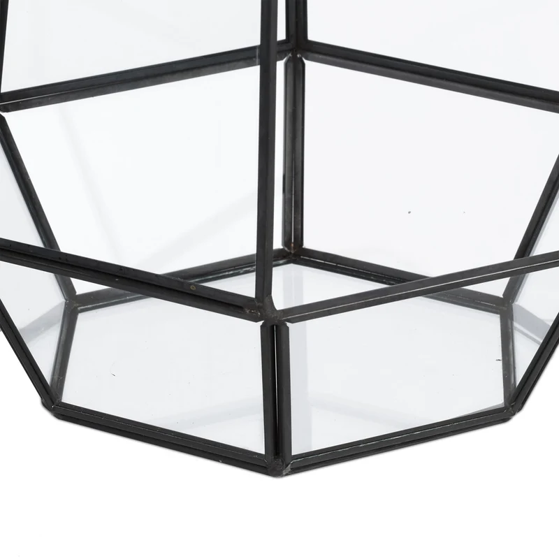 Terrarium de forme originale pour plantes succulentes 25 x 17 x 15 cm en verre transparent 13_0017390