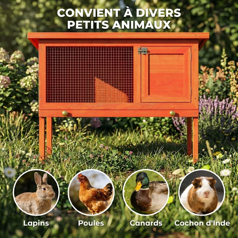 Clapier extérieur surélevé 90 x 45 x 65 cm porte verrouillable sécurisée plateau amovible rustique en bois de pin orange 21_0007900