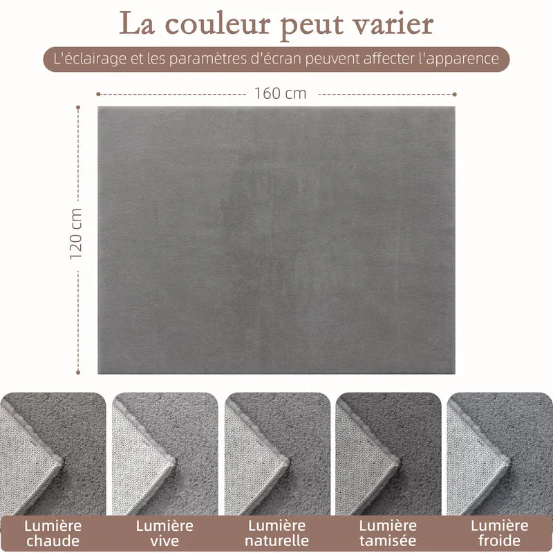 Tapis salon rectangulaire 160 x 120 x 2,5 cm lavable en machine antidérapant doux scandinave en polyester gris clair 21_0003682