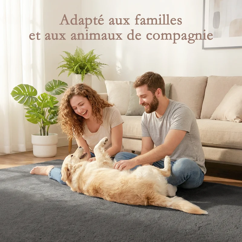 Tapis salon rectangulaire 160 x 120 x 2,5 cm lavable en machine antidérapant doux scandinave en polyester gris clair 21_0003682