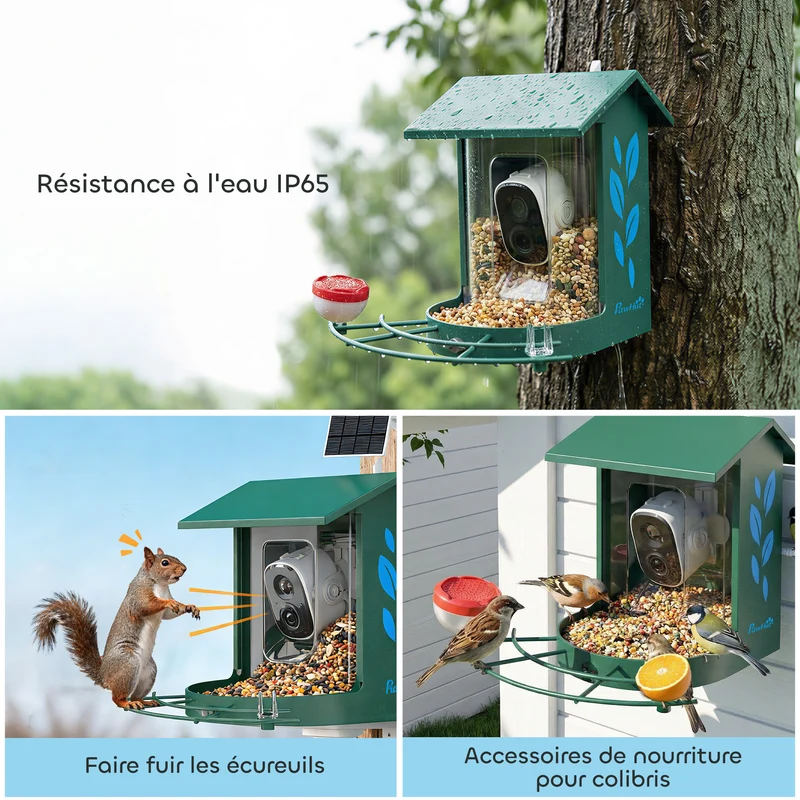 Mangeoire oiseaux avec caméra 2k jardin 30 x 34.5 x 26.3 cm capacité 2.5 l solaire design moderne en acier vert foncé 21_0007603