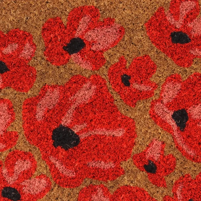 Tapis de porte naturel 40 x 60 cm résistant à l'extérieur et antidérapant design touffeté en fibre de coco naturel 02_0046189