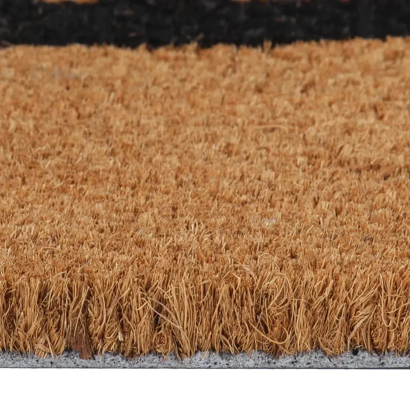 Tapis de porte naturel 45 x 75 cm support antidérapant durable intérieur extérieur en fibre de coco naturel 02_0046184