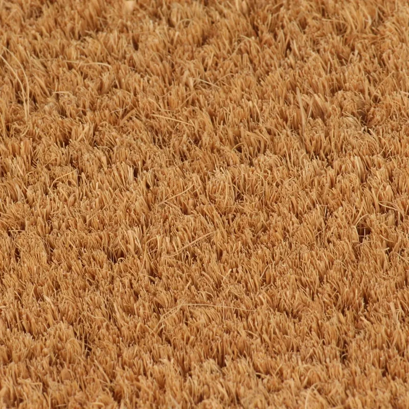 Tapis de porte naturel antidérapant 65 x 100 cm durable intérieur extérieur en fibre de coco naturel 02_0046156