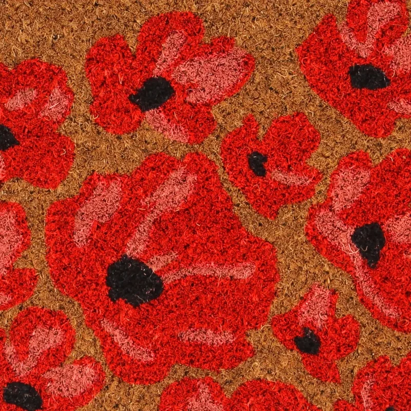 Tapis de porte naturel 45 x 75 cm antidérapant durable intérieur extérieur en fibre de coco naturel 02_0046190