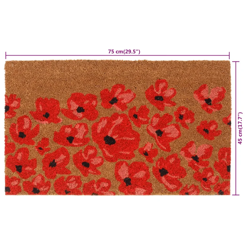 Tapis de porte naturel 45 x 75 cm antidérapant durable intérieur extérieur en fibre de coco naturel 02_0046190
