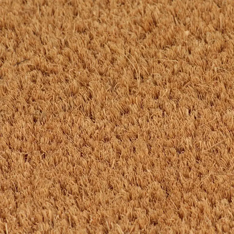 Tapis de porte antidérapant naturel intérieur extérieur 100 x 200 cm en fibre de coco naturel 02_0046182