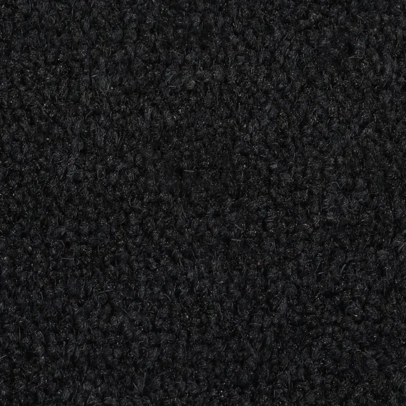 Tapis de porte touffeté intérieur extérieur 50 x 80 cm antidérapant design moderne en fibre de coco noir 02_0046163
