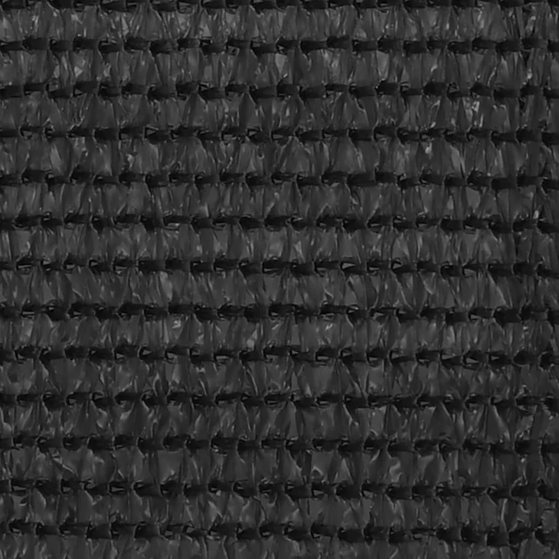 Écran de balcon brise pare vue protection confidentialité 90 x 500 cm PEHD anthracite 02_0009975