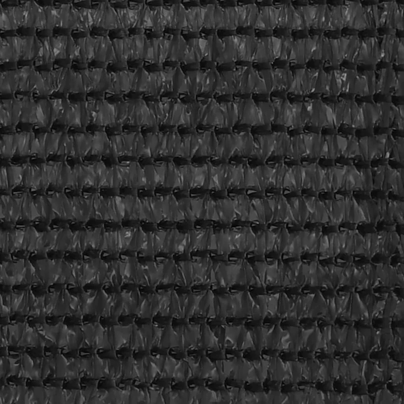 Écran de balcon brise pare vue protection confidentialité 120 x 400 cm PEHD anthracite 02_0009962