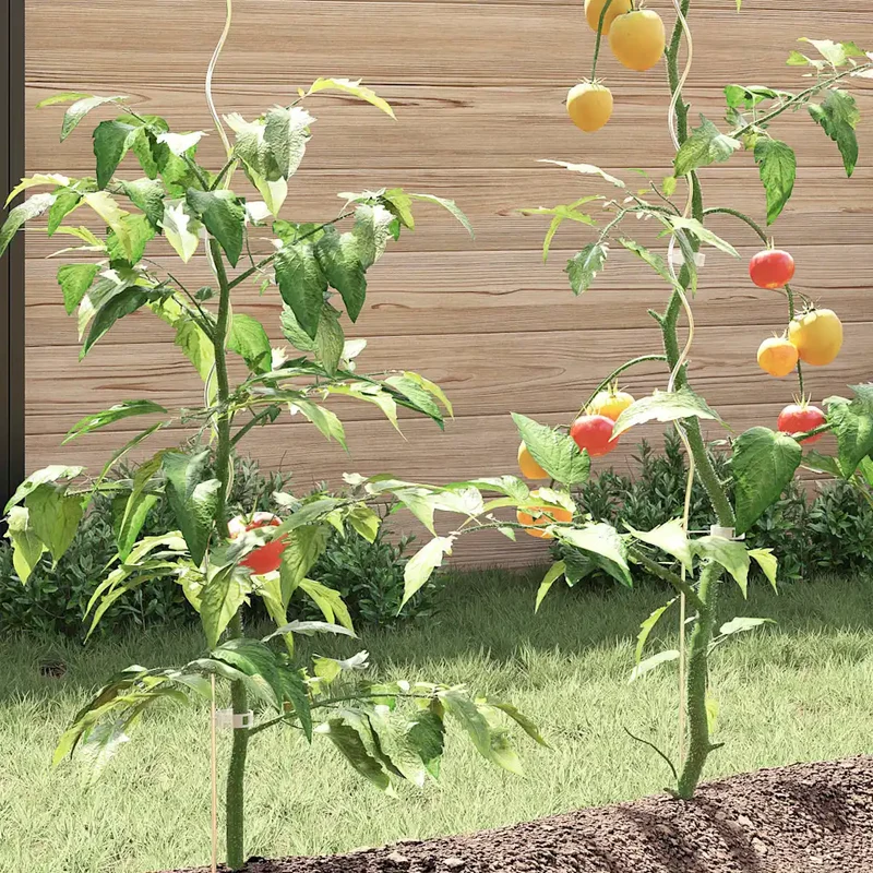 Lot de 5 supports de plantes en spirale 170 x 6 x 6 cm pour tomates légumes jardin en acier galvanisé vert 02_0046076