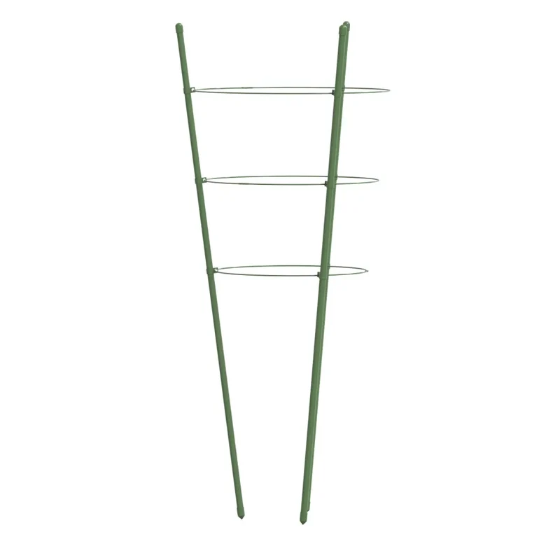 Lot de 5 supports pour plantes de jardin 21,5 x 20 x 60 cm robuste pour plantes grimpantes en acier vert 02_0046627