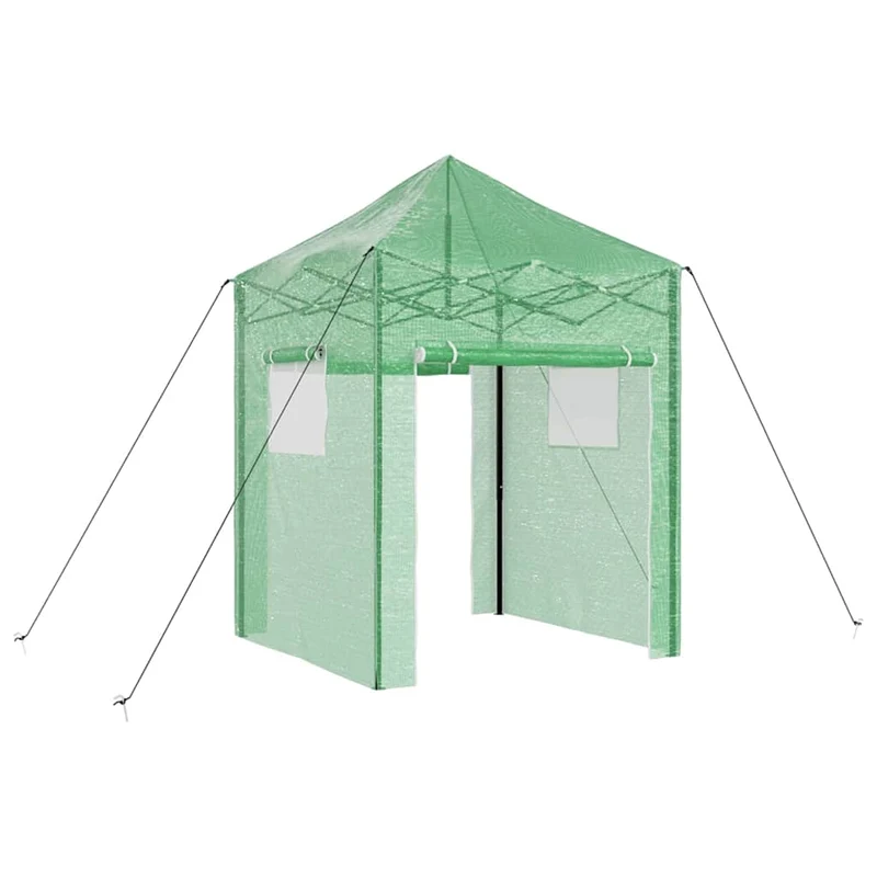 Serre pop-up rectangulaire jardin 200 x 200 x 300 cm pliable extérieur moderne en fer vert 02_0058858